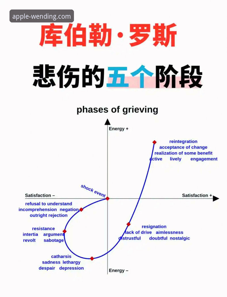 PG游戏官方认证 瓦伦西亚保级困境深度分析:从梅斯塔利亚惨败看战术博弈与心理韧性