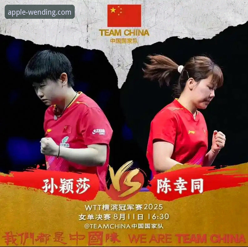 世乒赛女团对决使用教程：如何通过pg问鼎app深度体验陈幸同的赛场细节